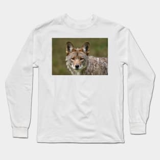 Coyote Long Sleeve T-Shirt